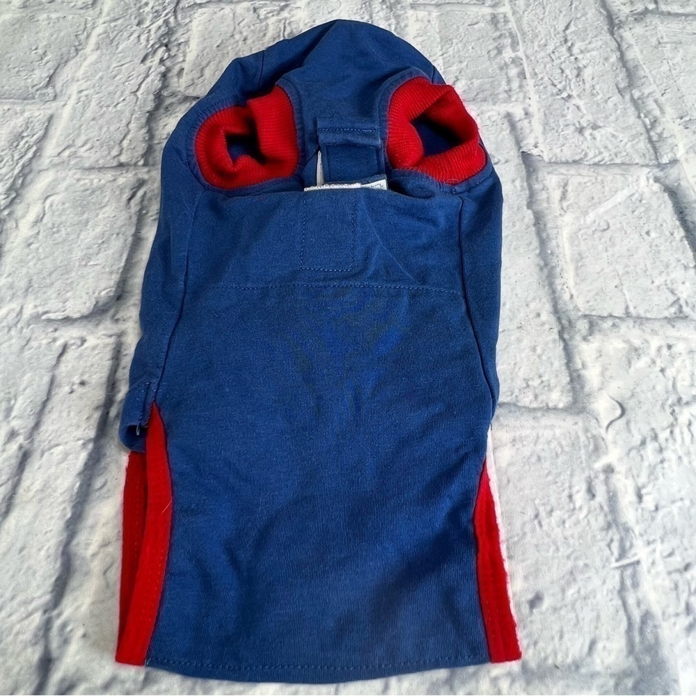 Doglemi dog surgery recovery small